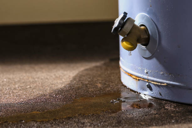 Best Water damage contractors near me  in Succasunna, NJ