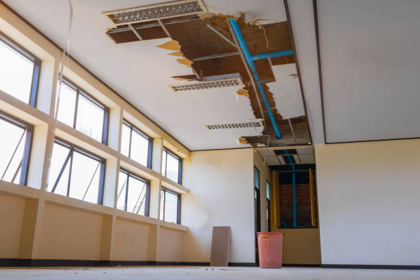 Best Professional water damage repair  in Succasunna, NJ