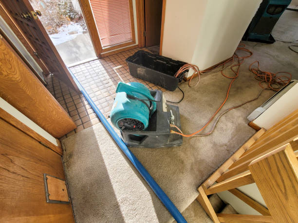 Professional Water damage restoration in Succasunna, NJ