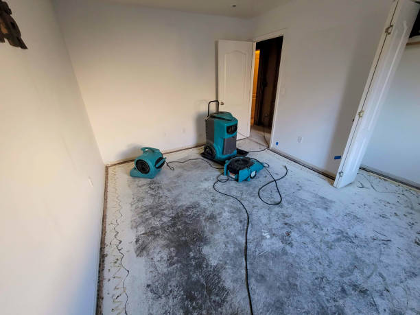 Best Local water damage restoration  in Succasunna, NJ