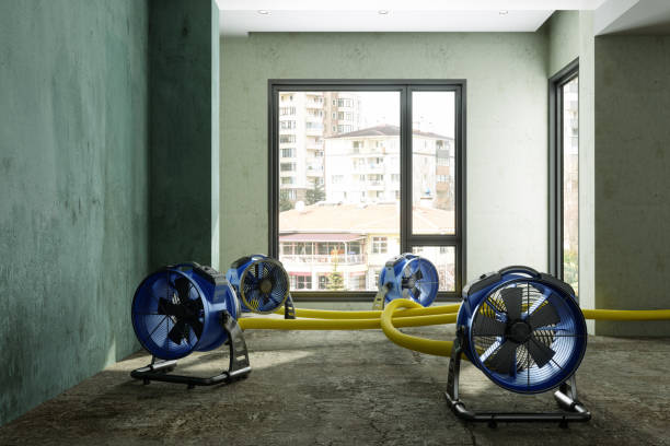 Best Water damage restoration experts  in Succasunna, NJ