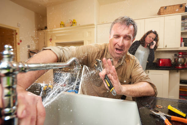 Best Flooded house restoration  in Succasunna, NJ